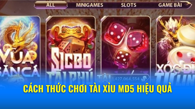 Cách thức chơi Tài xỉu MD5 hiệu quả