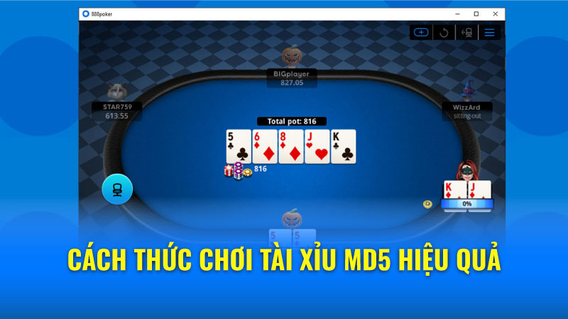 Kỹ thuật cơ bản cho người chơi Đánh Poker mới bắt đầu