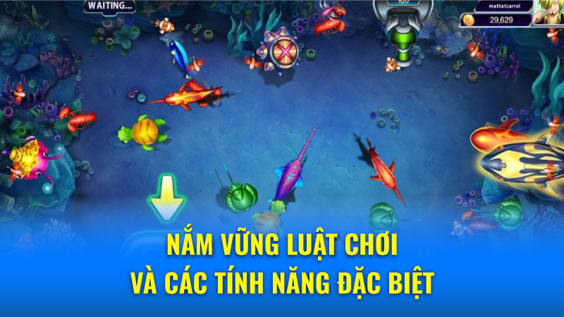 Nắm vững luật chơi và các tính năng đặc biệt