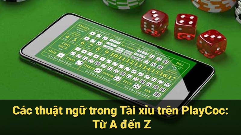 Các thuật ngữ trong Tài xỉu trên PlayCoc: Từ A đến Z